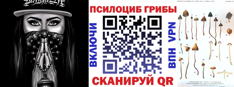 Псилоцибиновые грибы Psilocybe  Ростов-на-Дону 
