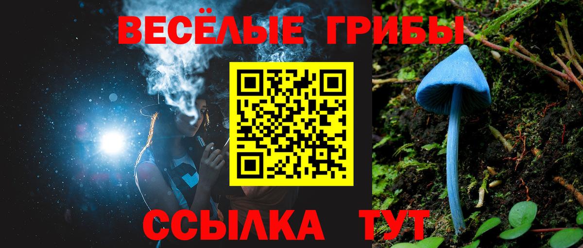 Ростов-на-Дону  Галлюциногенные грибы Magic Shrooms  Вход с VPN 